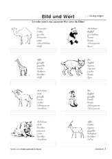 BuW Zootiere7.pdf